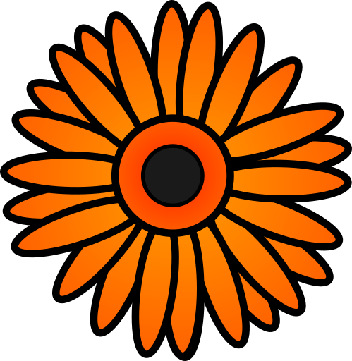 gerbera