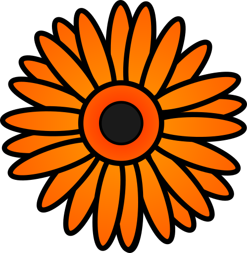 gerbera