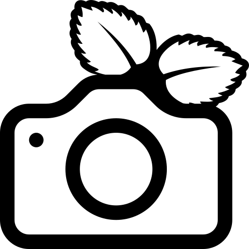 /mirror/dashboard-icons/raw/branch/renovate/tailwindcss-motion-1.x/webp/pigallery2.webp